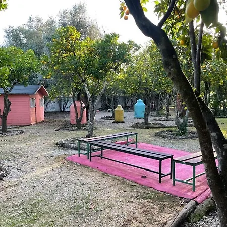 Casas Da Quinta Çiftlik konaklama