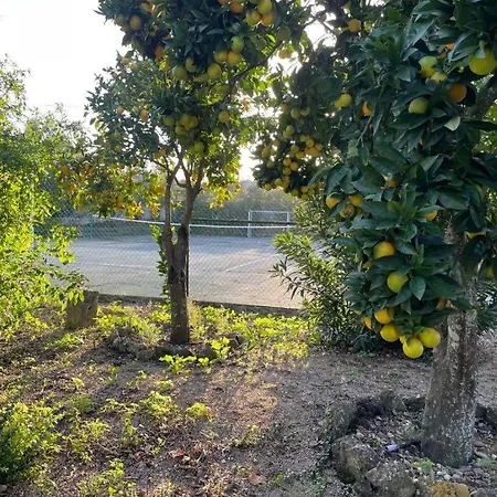 Çiftlik konaklama Casas Da Quinta *